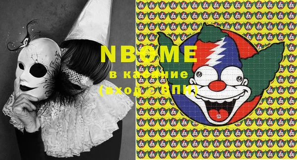 ПСИЛОЦИБИНОВЫЕ ГРИБЫ Вяземский