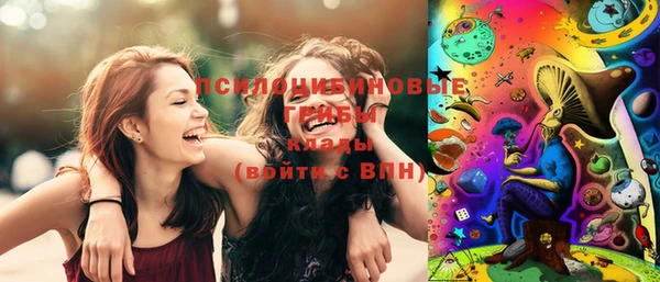 ПСИЛОЦИБИНОВЫЕ ГРИБЫ Вяземский