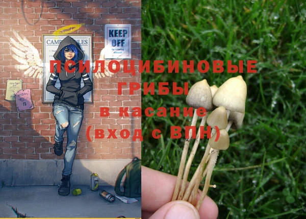 ПСИЛОЦИБИНОВЫЕ ГРИБЫ Вяземский