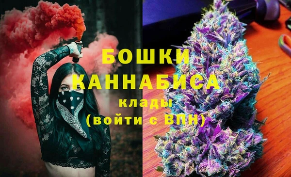 ПСИЛОЦИБИНОВЫЕ ГРИБЫ Вяземский