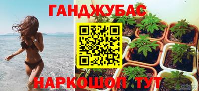 стафф Нальчик