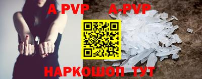 стафф Нальчик